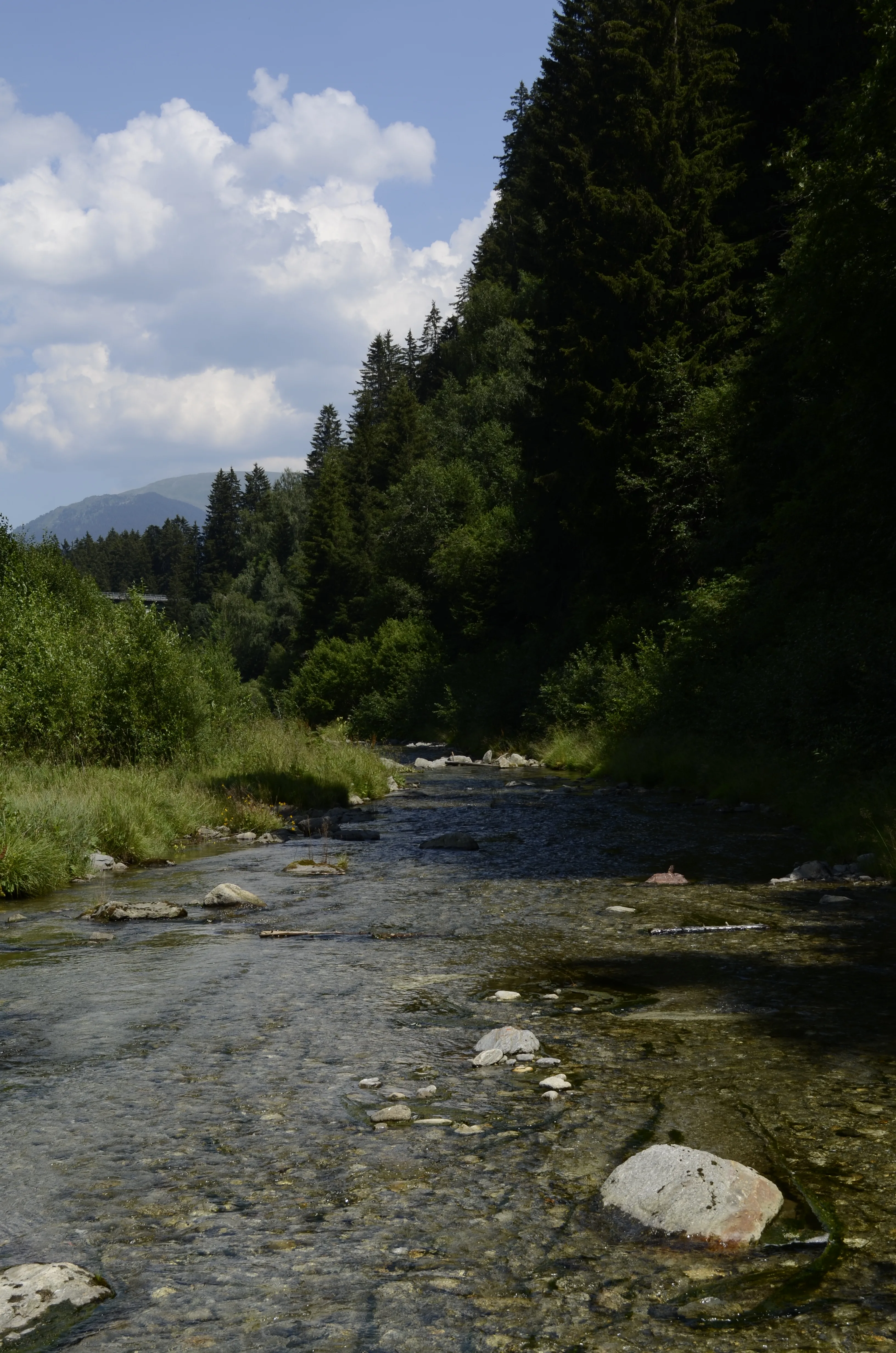 Lagerbild